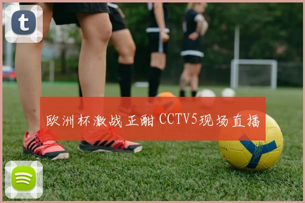 欧洲杯激战正酣 CCTV5现场直播
