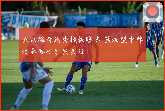 武切维奇选秀模板曝光 篮板型中锋培养路径引发关注