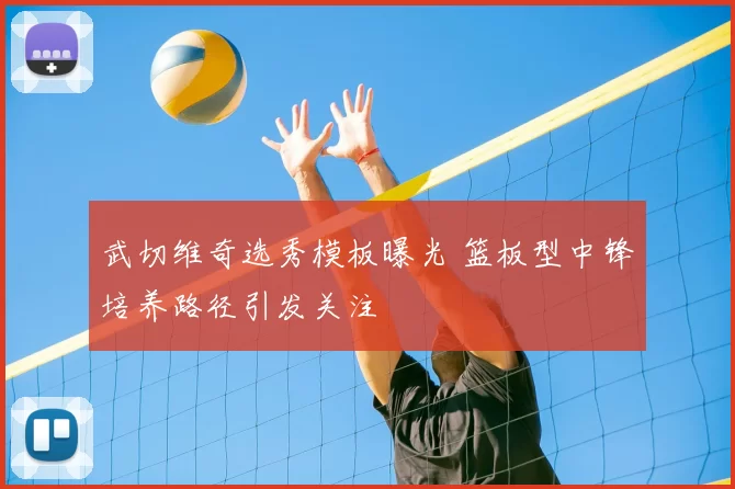 武切维奇选秀模板曝光 篮板型中锋培养路径引发关注