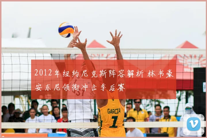 2012年纽约尼克斯阵容解析 林书豪安东尼领衔冲击季后赛