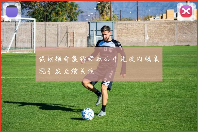 武切维奇集锦带动公牛进攻内线表现引发后续关注