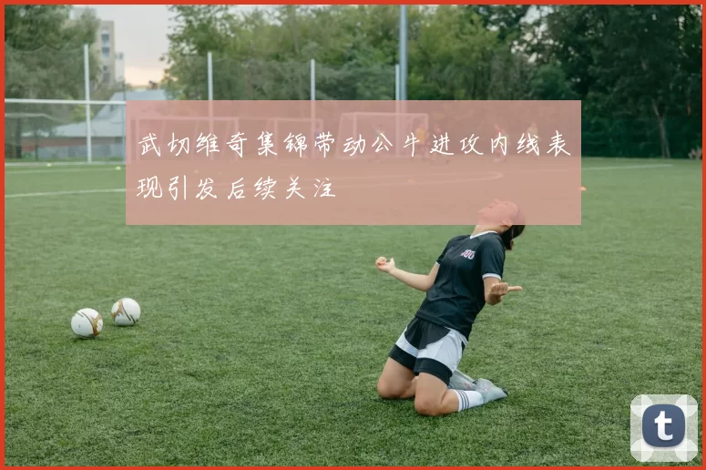 武切维奇集锦带动公牛进攻内线表现引发后续关注